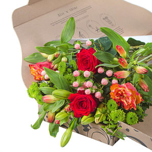 best letterbox flowers